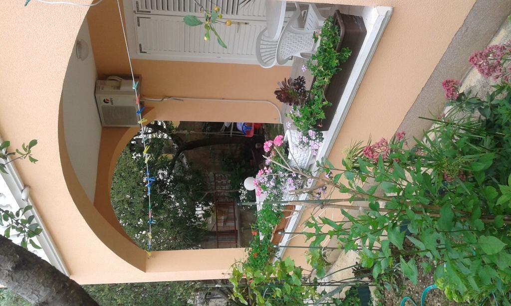 Apartments Andabaka 沃迪切 外观 照片